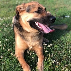 Meet your Posher, Anna